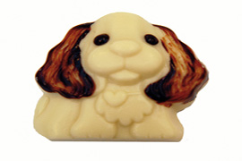 Chocolate Spaniel